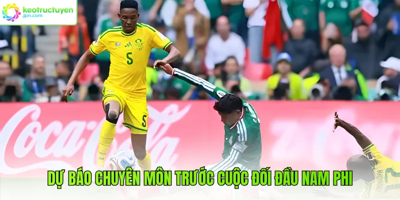 Dự báo chuyên môn trước cuộc đối đầu Nam Phi